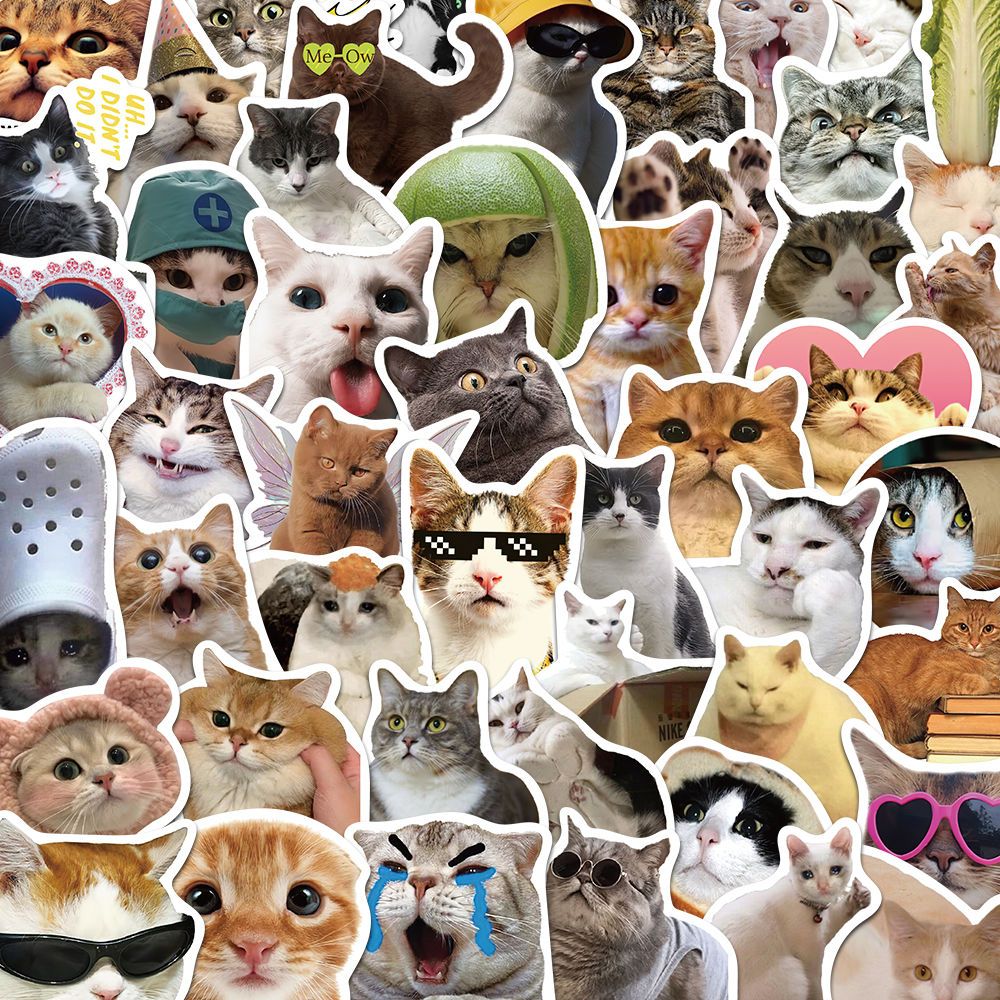 

Eeghrerr 60PCS Stiker Kucing Lucu Stiker Dekoratif Stiker Dekorasi Kartu Album