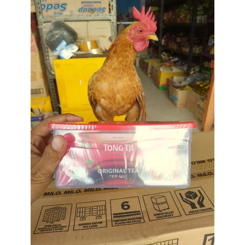 

teh tongji celup merah isi 25