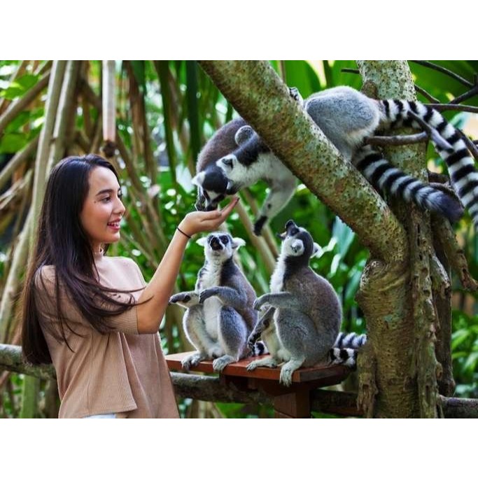 Voucher Tiket Bali Zoo for Domestic