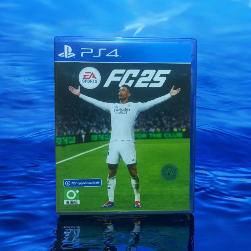 BD PS4 GAME FC 25 | FIFA 25