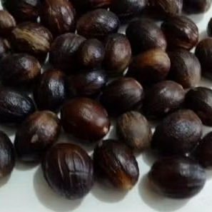 

pala untuk bibit 500 gr