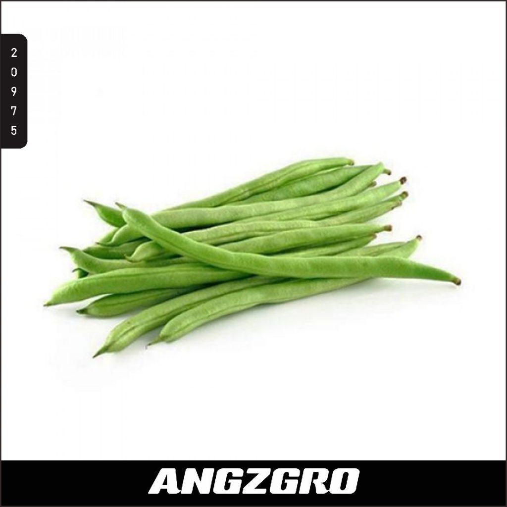 

Buncis 300 gr/ pack