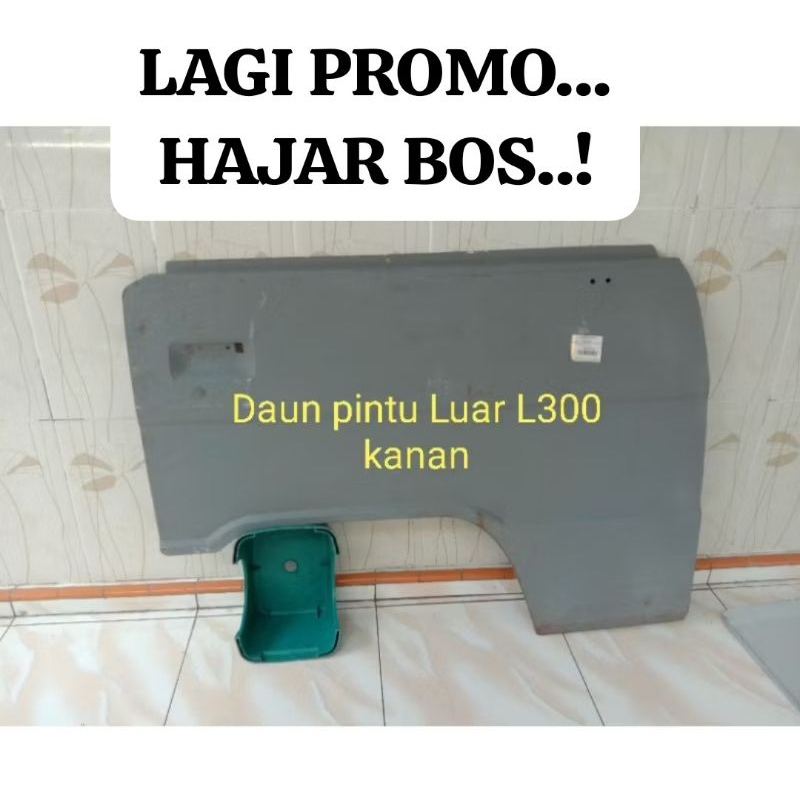 Daun pintu luar kanan L300 original asli