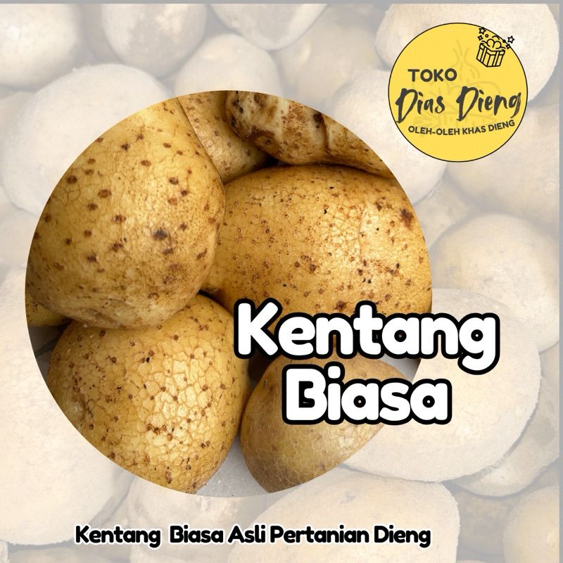 

Kentang Dieng