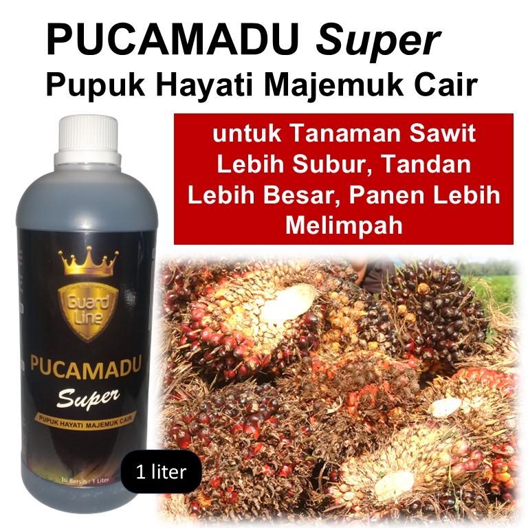 Pupuk Sawit / Pupuk hayati cair untuk sawit / Pucamadu Super 1 liter / Pupuk sawit subur / Mikroorga