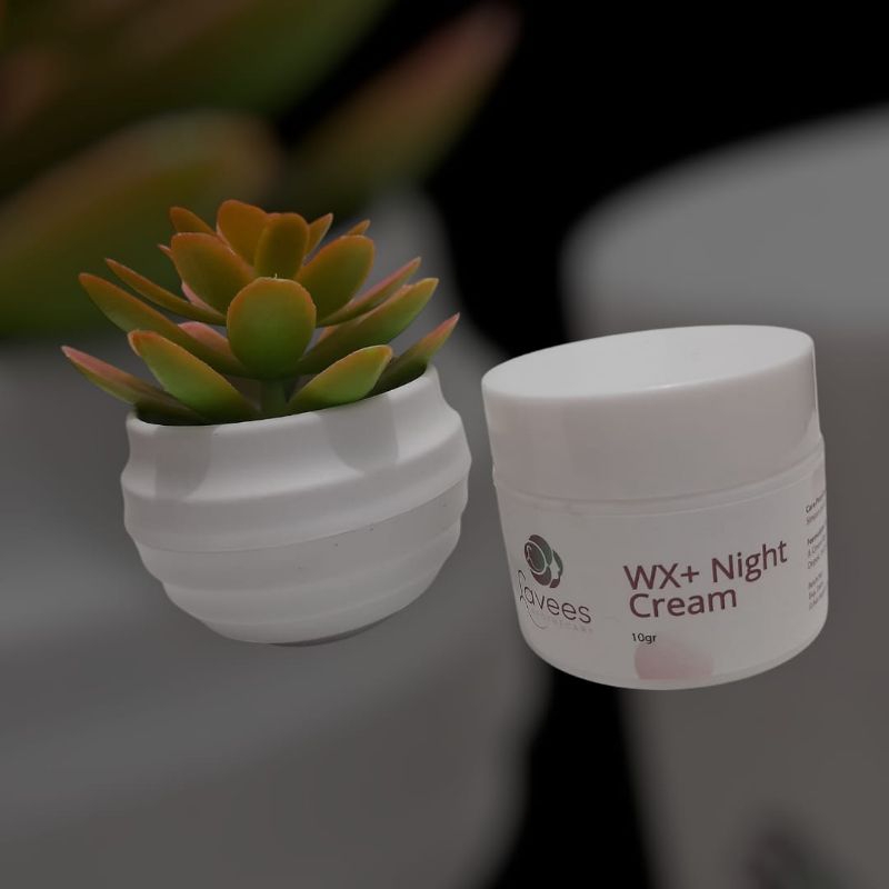 WX+Night cream(krim malam plek melasma)