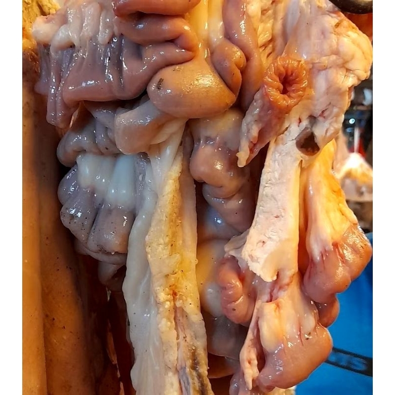 

Usus Sapi Lokal Fresh