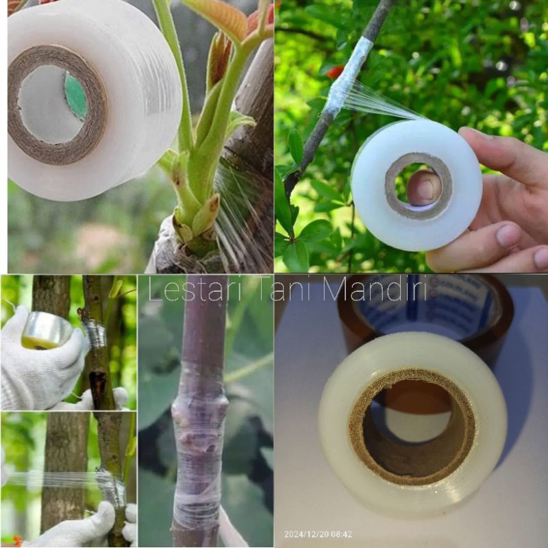 PLASTIK OKULASI TANAMAN 3 CM