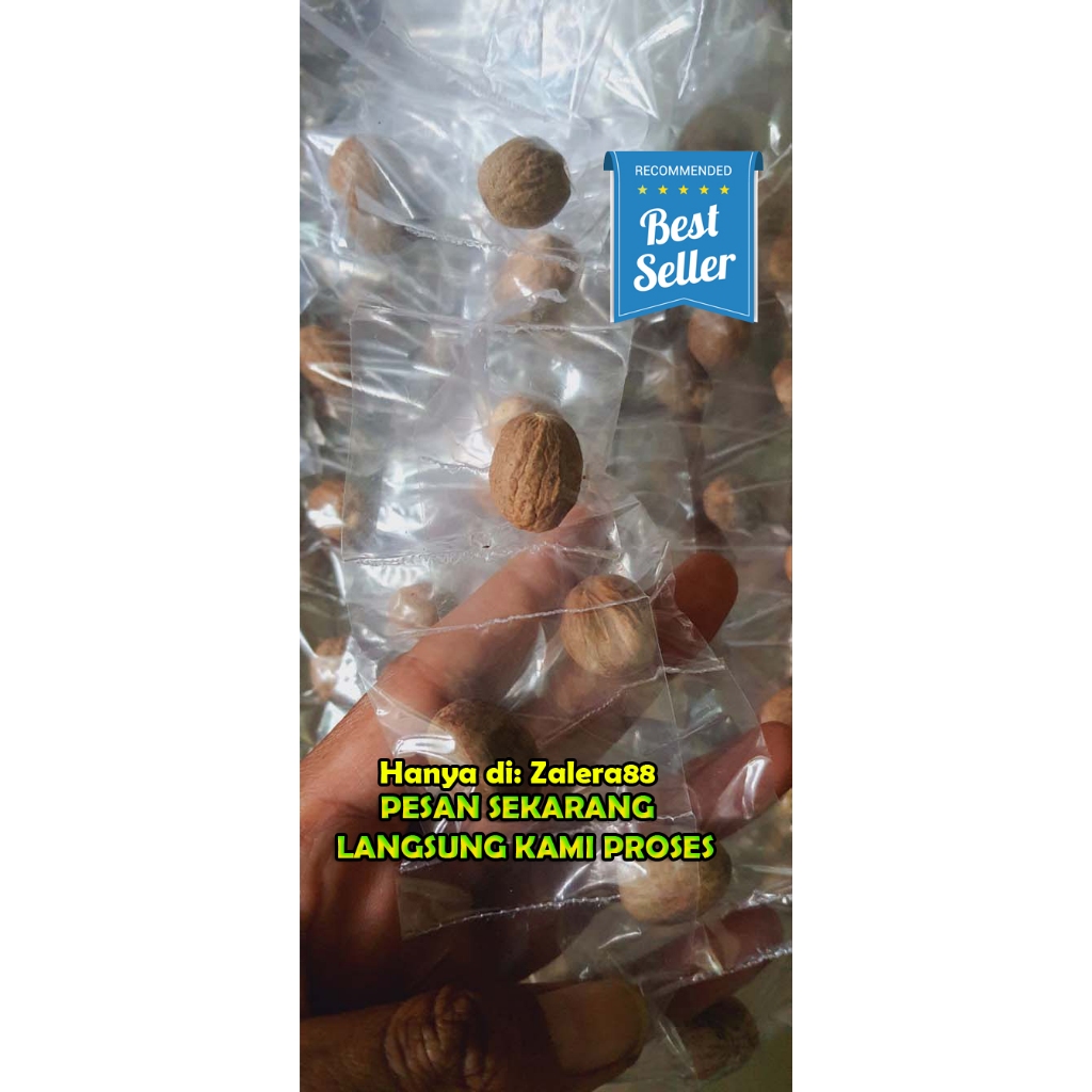 

BIJI PALA Premium (Renceng) Bumbu Rempah Asli 5 RENCENG ISI 25 PCS
