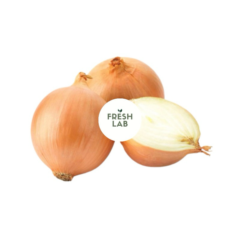 

Bawang Bombay bagus fresh