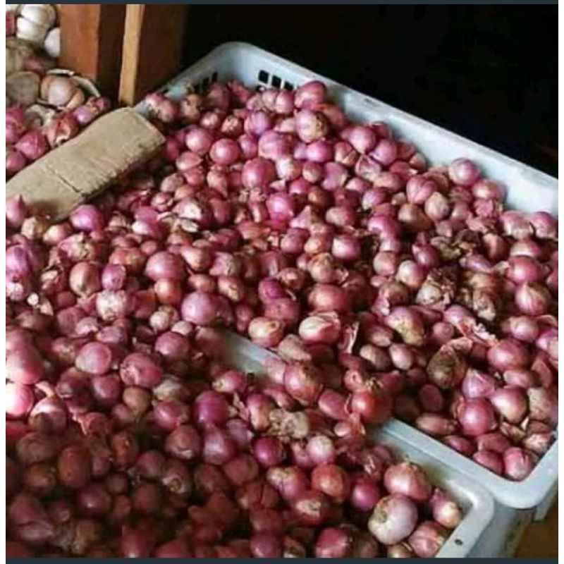

FREE PACKING- Bawang Merah Fresh 1Kg