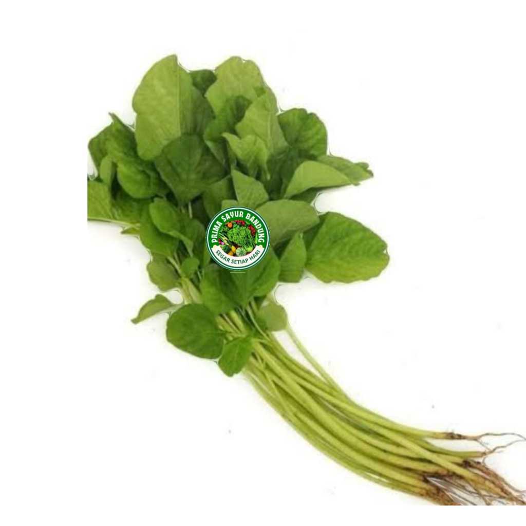

PRIMA - Sayur Bayam Hijau Segar Spinach Per Ikat Sayur Fresh Bandung