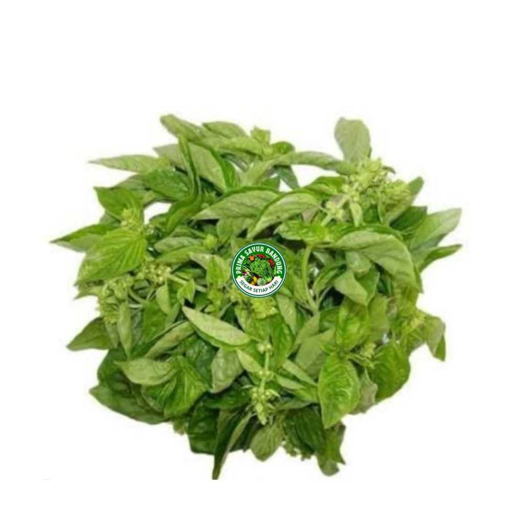 

PRIMA - Daun Kemangi Segar Basil Per Ikat Sayur Fresh Bandung