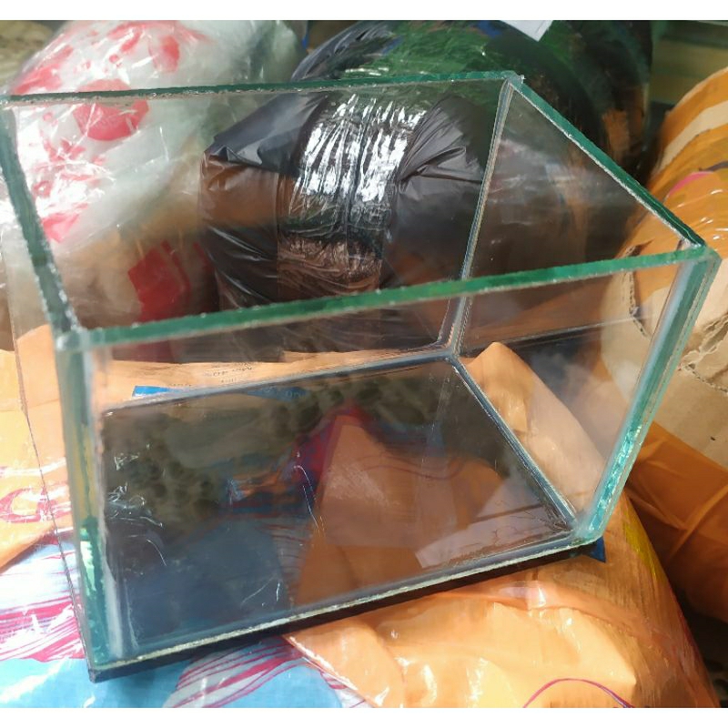 aquarium mini 15x10x10 soliter kaca