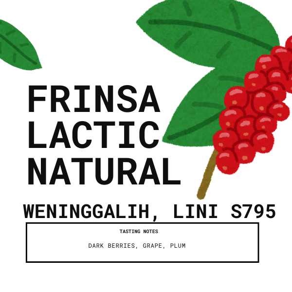 

Kopi Arabika Anggur Lactic Frinsa Bean Arabica Bubuk Coffee Specialty Coffee Bean 200gr