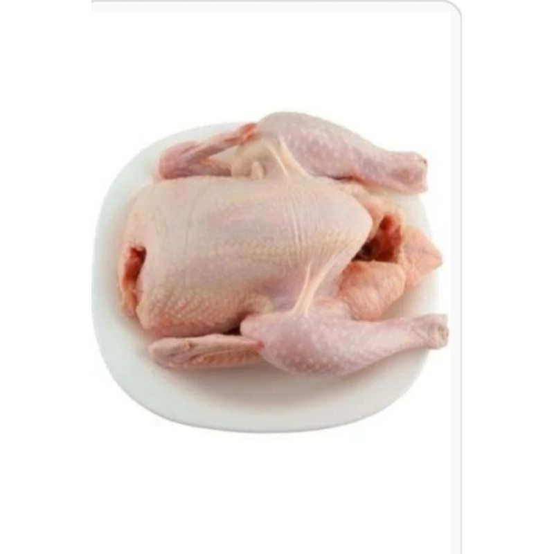 

karkas ayam utuh frozen beku 500gr