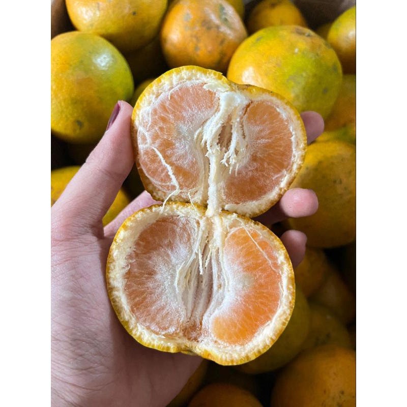 

Jeruk Medan AB / Medan Premium