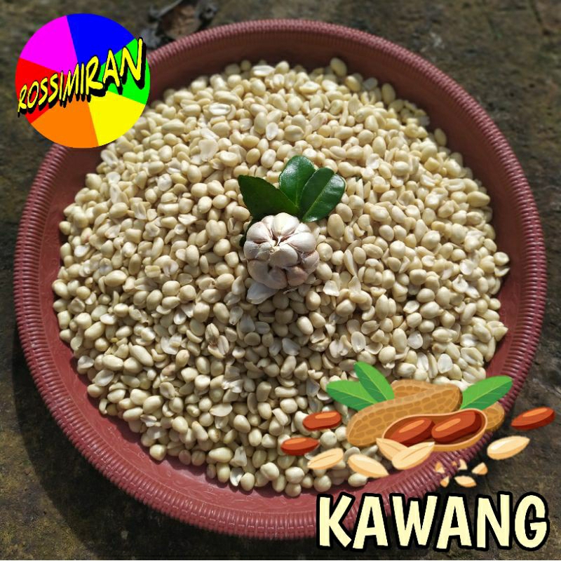 

Rossimiran Kacang Bawang / Kawang
