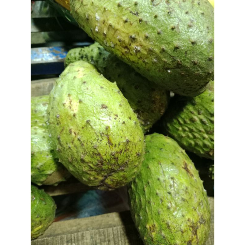 

buah sirsak belanda 1kg mang sayur