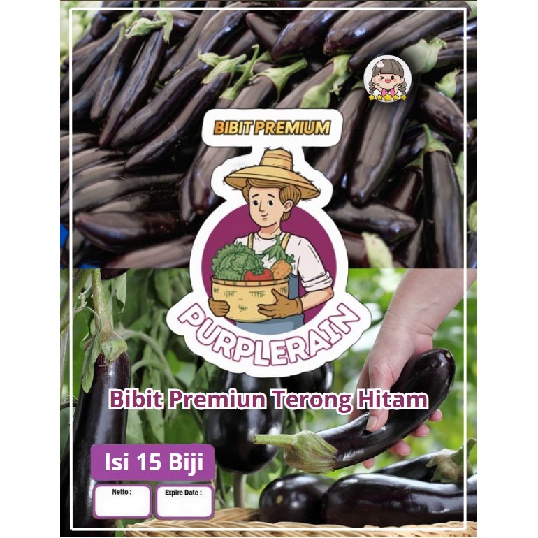 Bibit Premium Terong Hitam | Benih Terong Hitam | Biji Benih Terong Nasubi