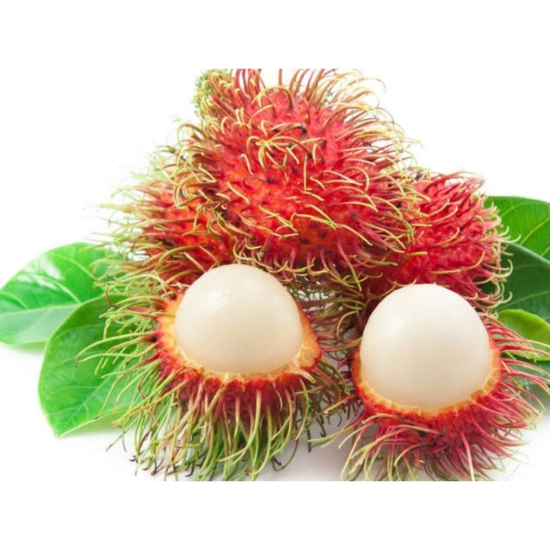 

Rambutan