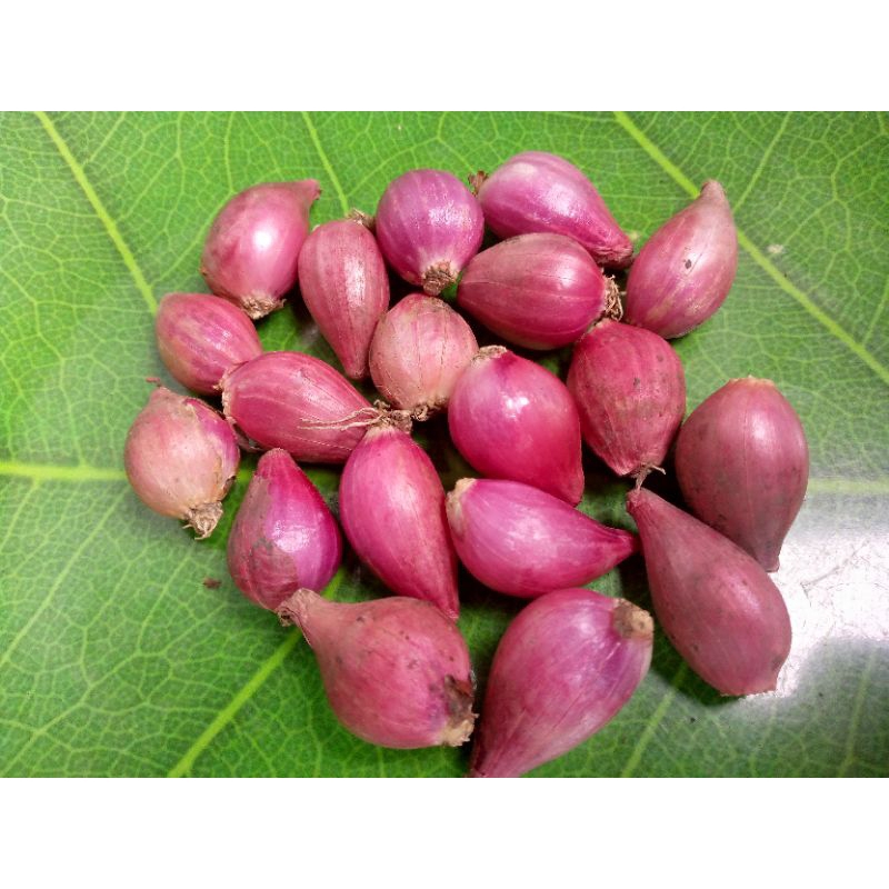 

Bawang merah kecil ulekan 1 kg berkualitas