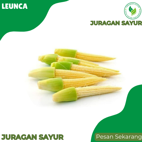 

Juragan Sayur - Baby Corn / Putren 250gr