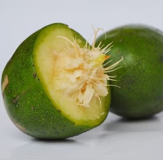 

BUAH KEDONDONG SEGAR FRESH KEMASAN 1 KG