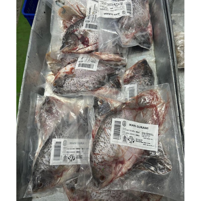 

Gurami Fresh isi 2 sudah bersih