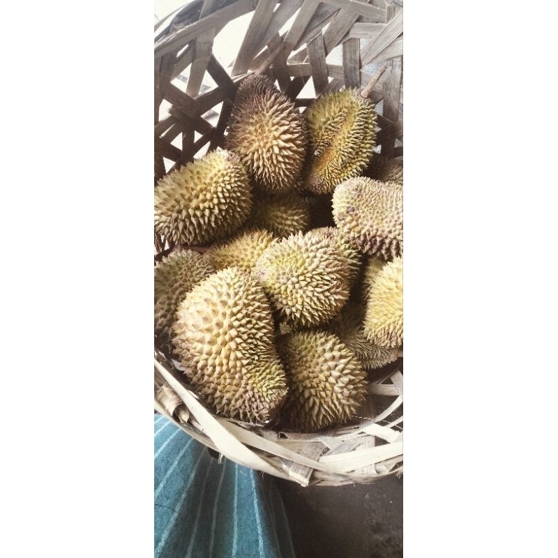 

duren utuh Linggau 5 buah 100rbu bisa d kemasan cup