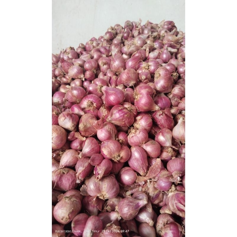 

bawang merah ukuran KECIL bumbu dapur berkualitas