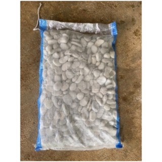 Batu koral putih 1 karung
