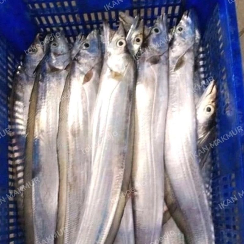 

ikan layur Fresh segar 1kg