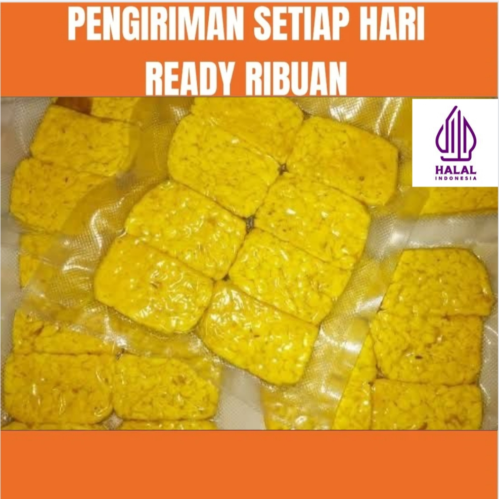 

Tempe Ungkep Bumbu Kuning Siap Goreng (10 pcs)