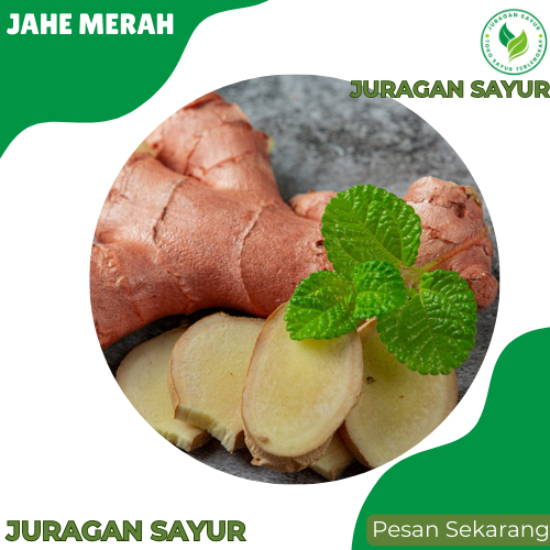 

Juragan Sayur - Jahe Merah 200gr - Jahe Merah Segar - Jahe Merah Super -Jahe Merah 1 kg