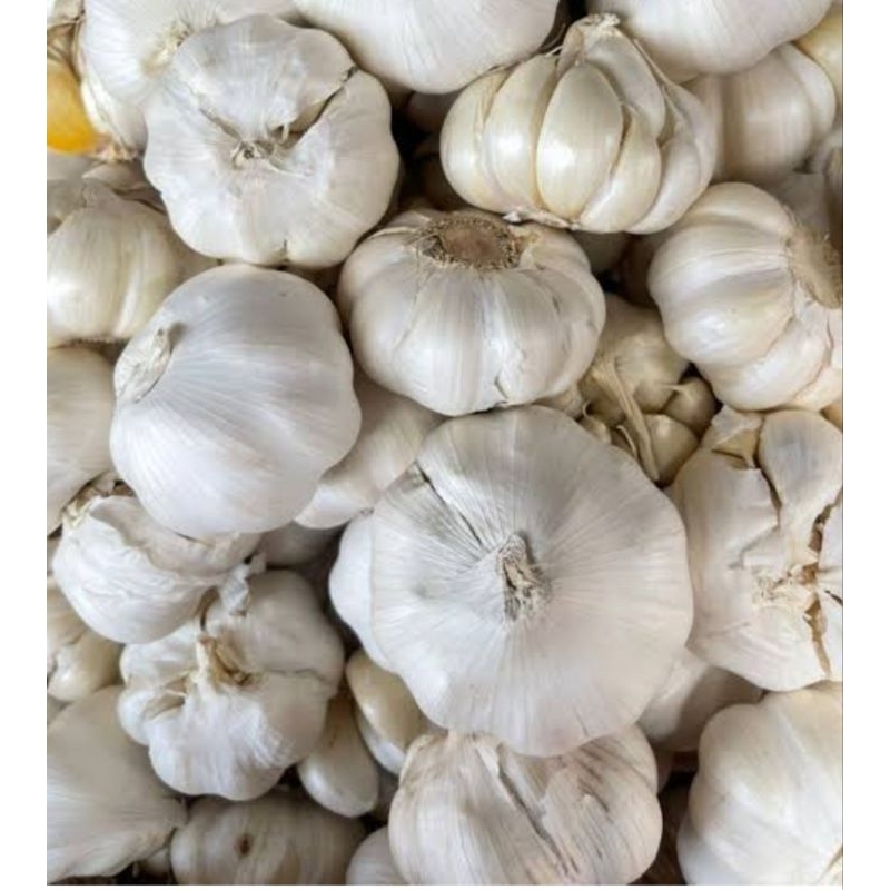 

Bawang putih berkualitas berat 250gr murah