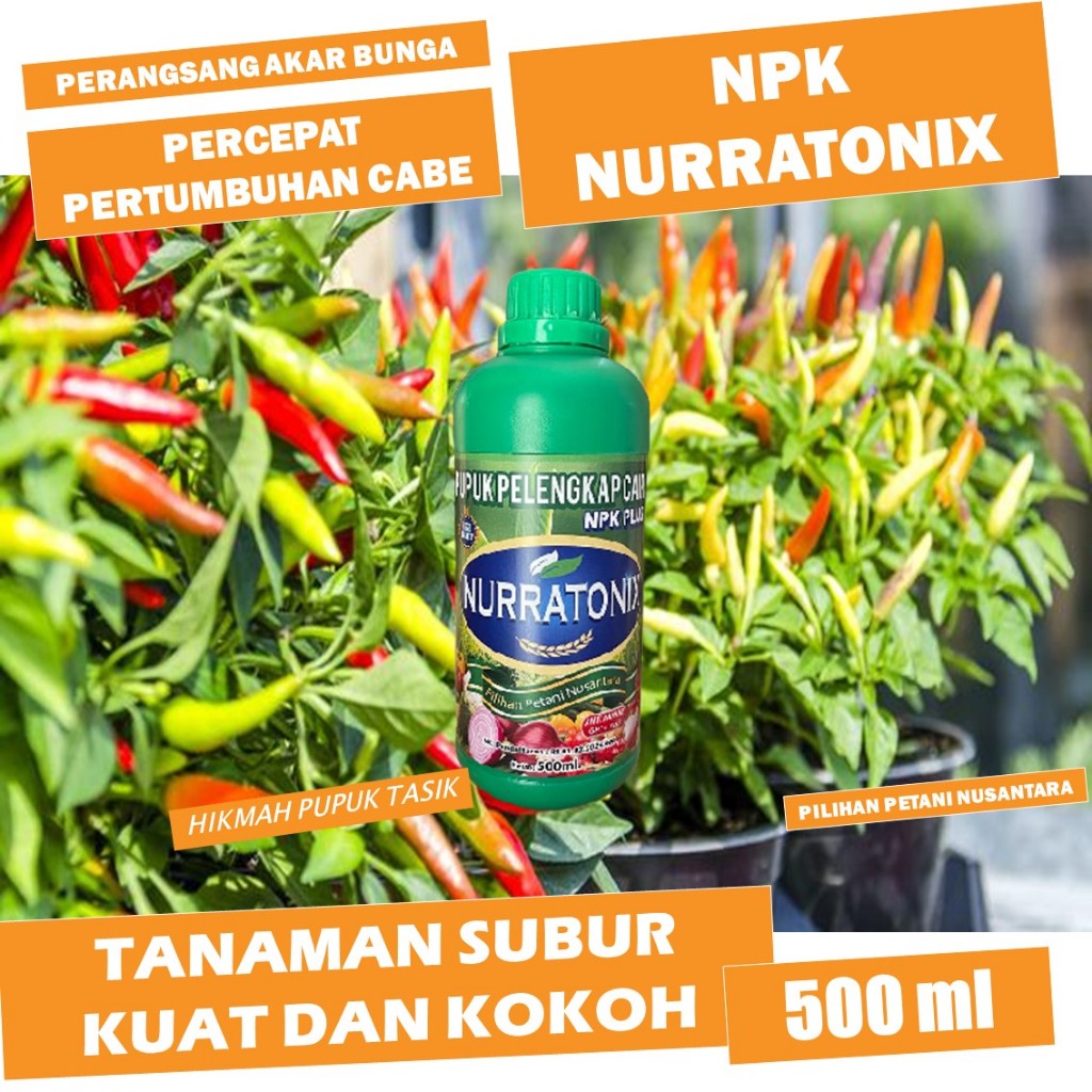 NPK NURRATONIX 500 ml Pupuk Pelebat Buah Cabe Rawit - Pupuk Super Pelebat Buah Cabe Rawit terbaik - 