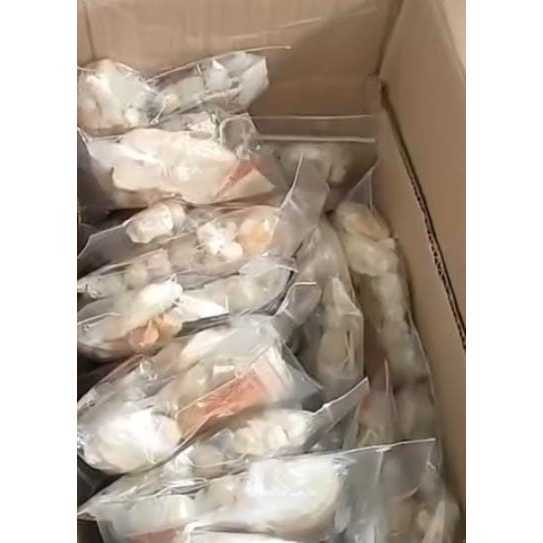 

Boci Garut Paket Murmerr