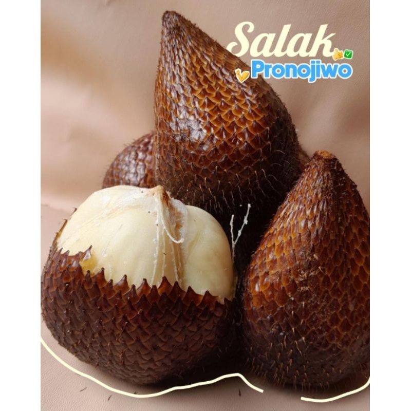 

Buah Salak Pronojiwo 1kg
