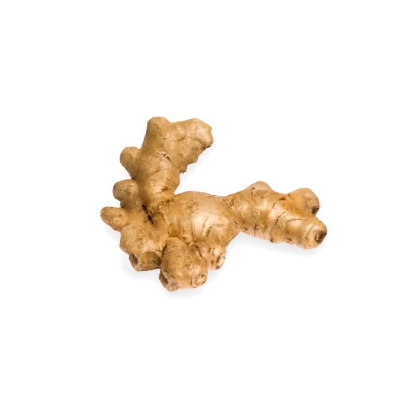

jahe emprit fresh 100 gr
