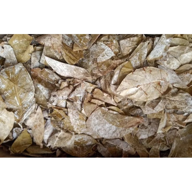 

Daun Gambir Kering 500 gram