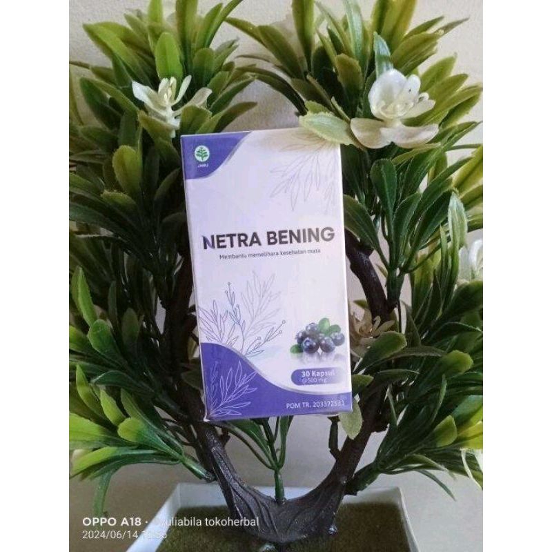 NETRA BENING KAPSUL OBAT MATA KATARAK