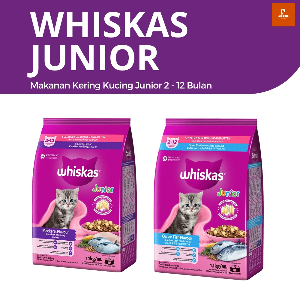 Whiskas Makanan Kucing Kering Usia Junior 2 - 12 Bulan Pilihan Rasa - 1.1 Kg