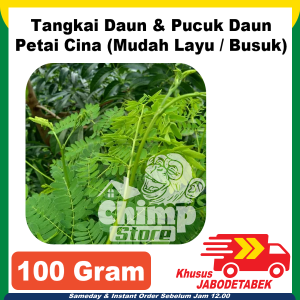 Daun Petai Cina Tua & Pucuk 100 gram obat herbal lamtoro pete selong segar fresh tanpa pestisida