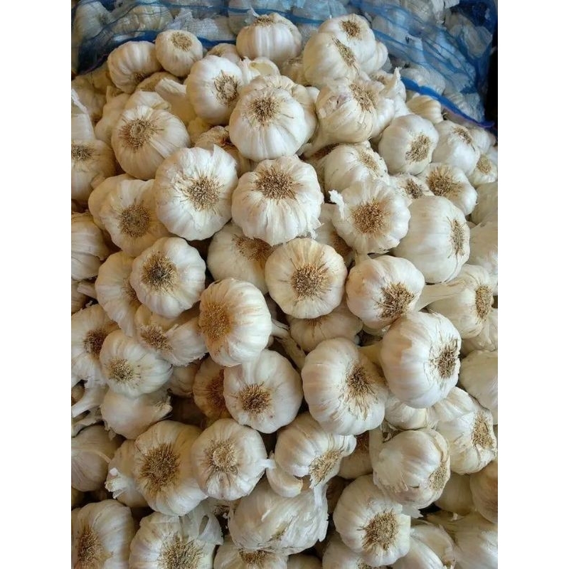 

bawang putih besar 500gr