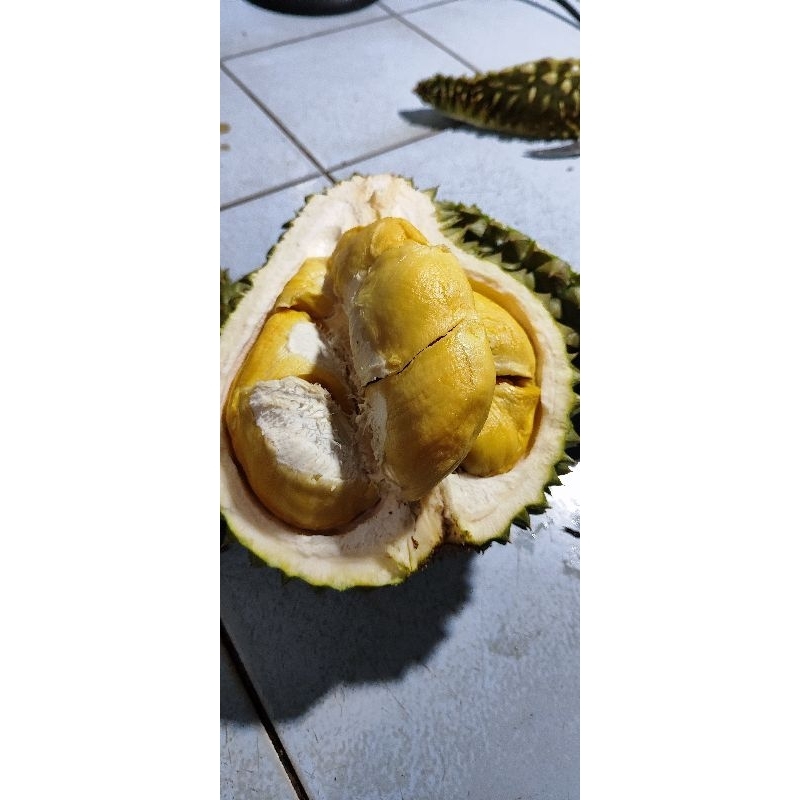 

Durian Bawor