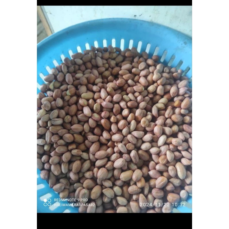 

kacang tanah kulit 1kg