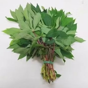 

Daun singkong 1 iket