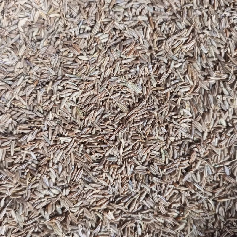 

Jinten/Jintan Putih Kemasan 250 Gram