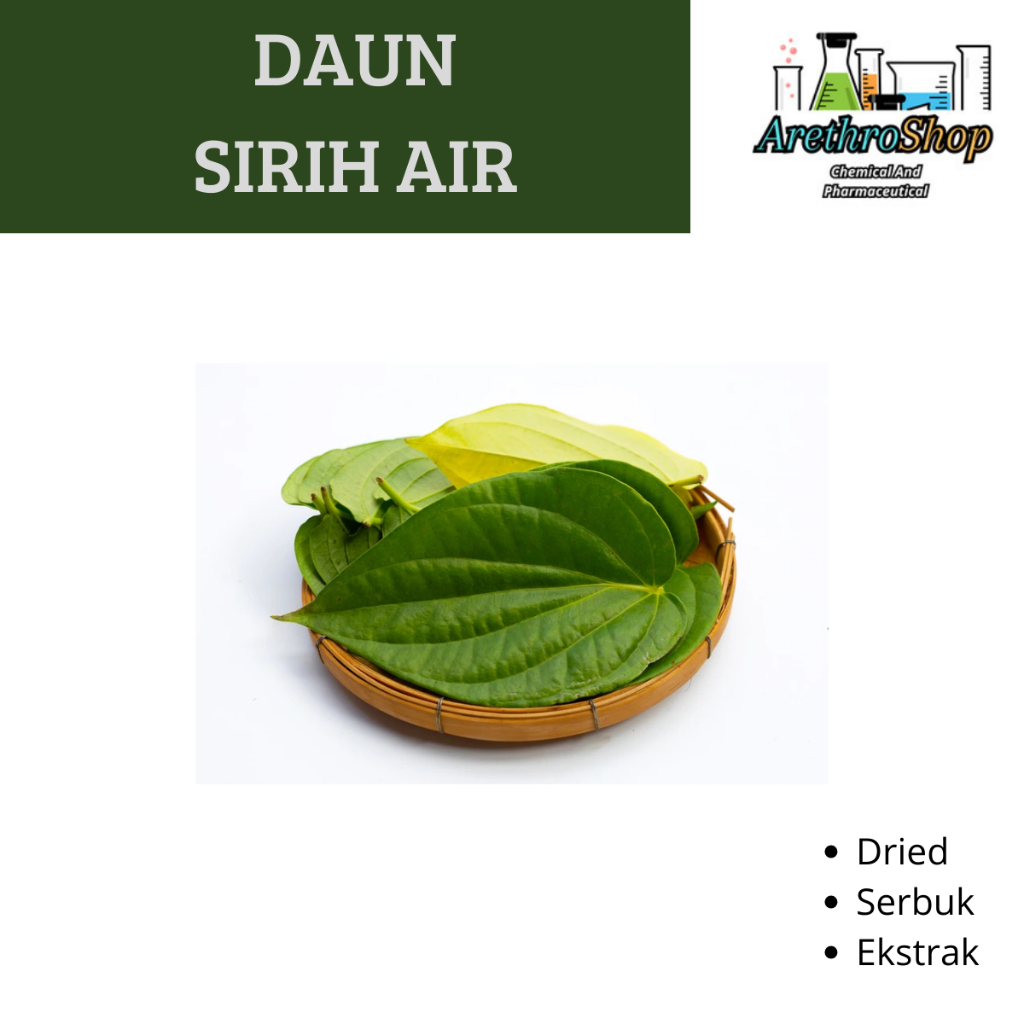 

EKSTRAK DAUN SIRIH HIJAU 10 GRAM BEST PRODUCT
